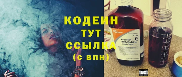 соль ск Заводоуковск
