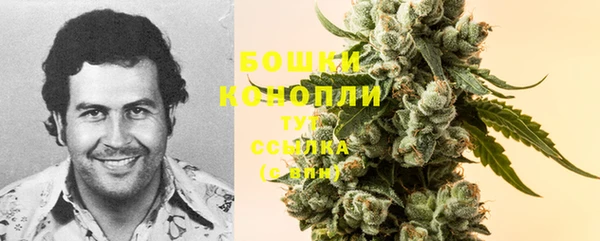 соль ск Заводоуковск