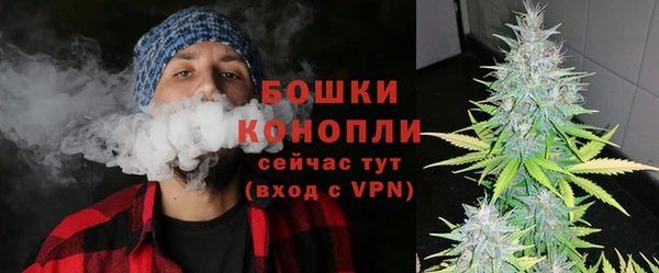 PSILOCYBIN Заволжье